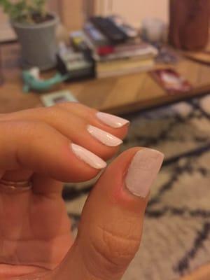 terrible mani