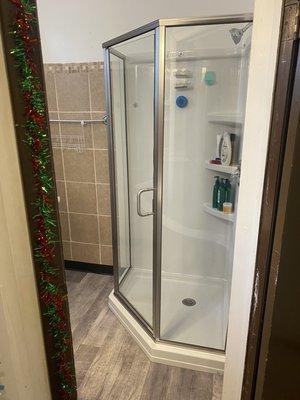 Shower door