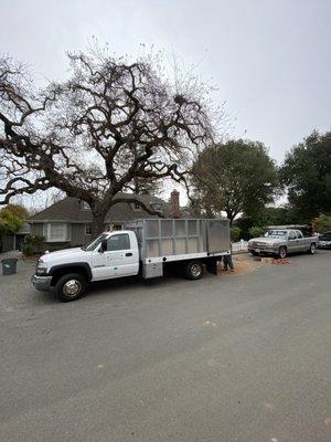 Clean up + wood chips all around the property.