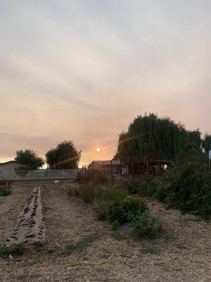 The Urban Edge Farm