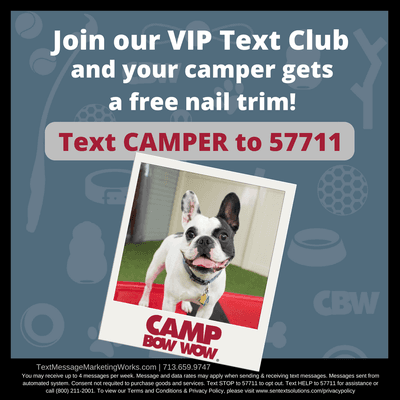 Join our VIP Text Club for Camp specials.