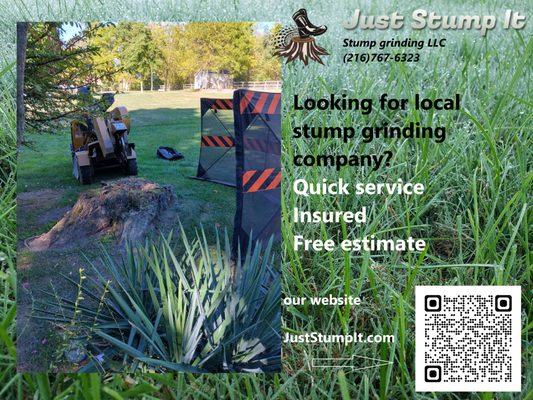 Locally owned stump grinding company in Northwest Ohio. Get rid of stumps with us today. $80-$400 each.