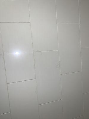 hair in the shower from the customer before us