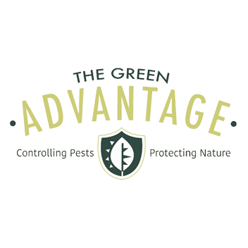 The Green Advantage