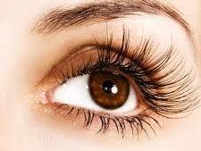 EyeLash Extension Removal