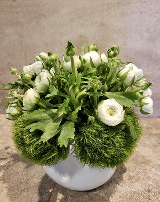 White ranunculus, green balls