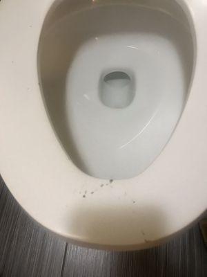 Toilet with burn marks