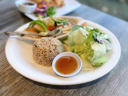 Dinner Special - Red Curry with Soy Chicken, brown rice, salad, and a veggie egg roll