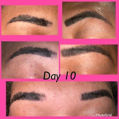 Microblading Day 10