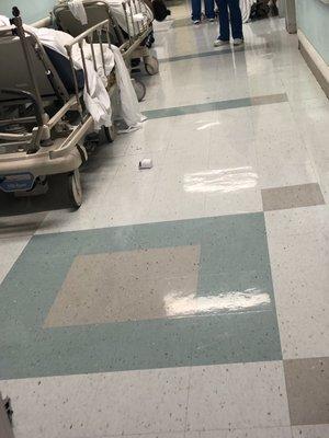 Cup on the floor for 5 hours and nurses and orderlies keep walking by it