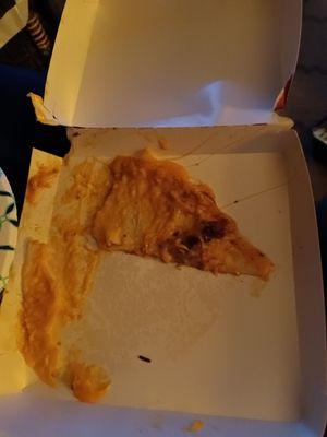 This is what was left in the box after I took the quesadilla out it fell apart