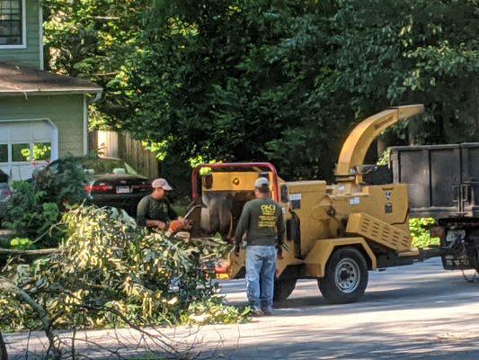 F&B Tree Service