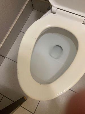 Disgusting toilet seat