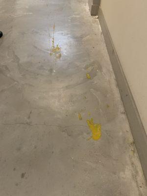 Smashed raw eggs, over three weeks old in corridor