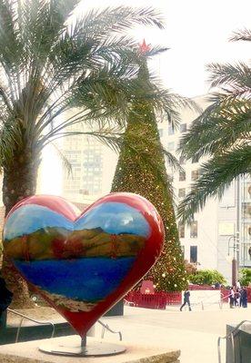 11/26/2018:  Distinct juxtaposition between the palm trees and the Christmas Tree~It's 60 ° Fahrenheit!