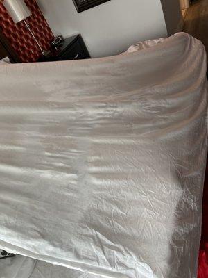 Rough sheets, Oil stains (lube)? Disgusting