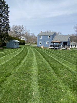 Weekly lawn mowing service