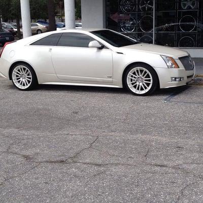 Hypnotic Blaque Diamond BD4's on a beautiful Pearl Caddy CTS