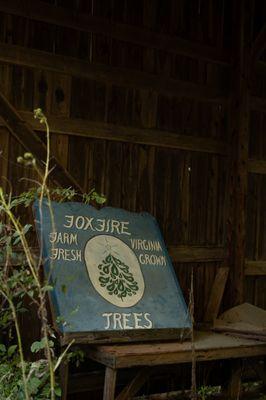 Foxfire planted its first Christmas trees in 1968, and after the normal glitches and re-plants*, we opened for business at last in 1977.