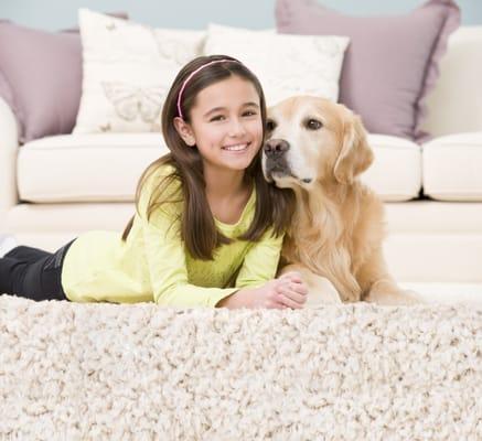 pet friendly child safe cleaning standards