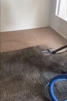 Carpet Cleaning