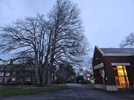 2/11/2024 - Portland Baroque Orchestra performed Dinner with Handel, an Opera pasticcio at the Kaul Auditorium at Reed College