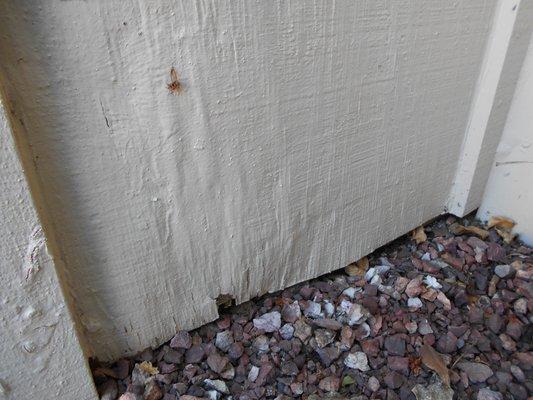 Painted over rotten board instead of replacing as agreed upon.