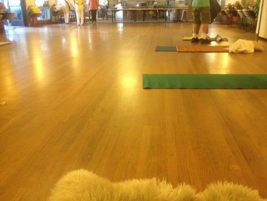 Nice wooden floors in the auditorium