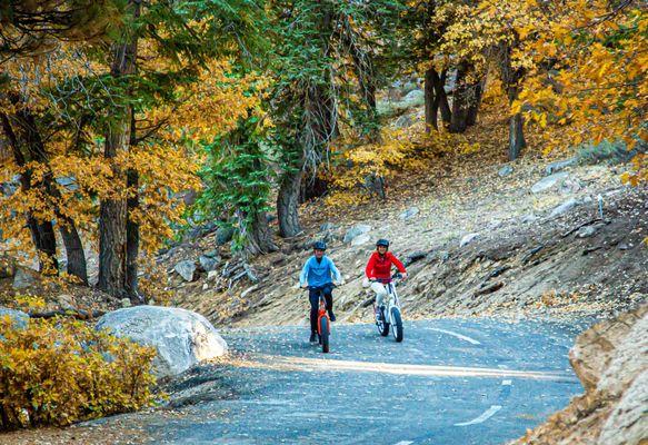 Big Bear Lake fall colors. Beautiful easy bike ride.