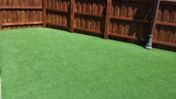 Our new yard for pets to play in.