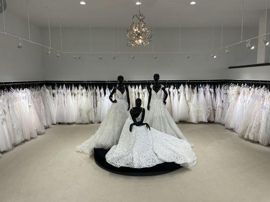 With over 600 Wedding Dresses to choose from our selection is the BEST in the region!