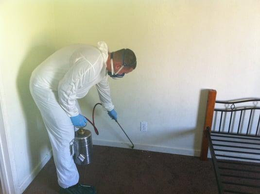 Bedbug Treatment