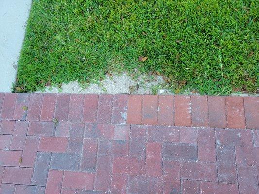 wrong pavers on end trim, mismatch