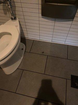 Roach in the bathroom!!!