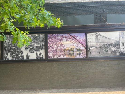 Remodeled windows that remembers DC 100 yrs ago