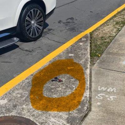 Keys to a $250,000 car just sitting on a public sidewalk. Anyone could have stolen it