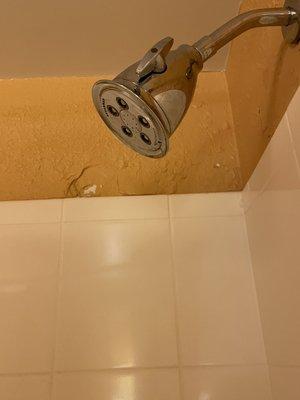 Bubbling and peeling paint in shower.