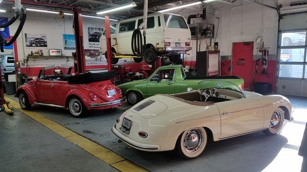 Volkswagens from the last 60 years all in our shop