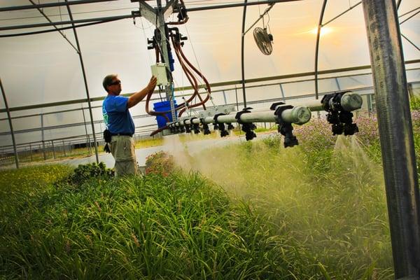 Growing the highest quality plant material using the latest technology.