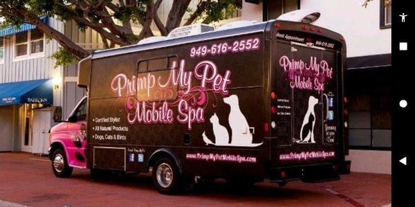 Gilbert AZ Mobile Dog Groomer