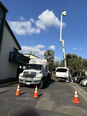 Safety Cones / Work in Progress