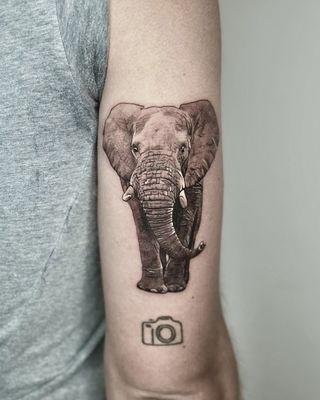 elephant tattoo