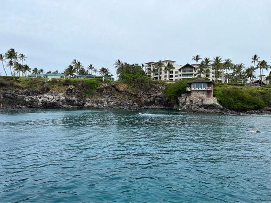 Snorkel spot off Kaanapali