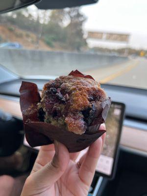 Delicious blueberry muffin.