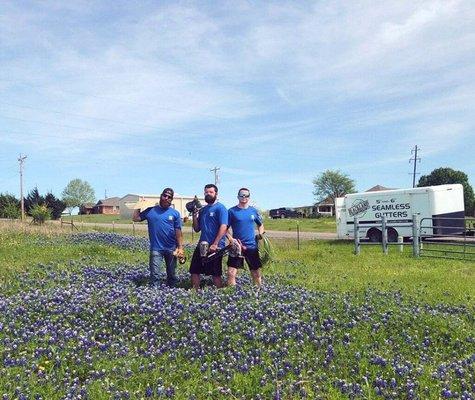 Blue Bonnets...