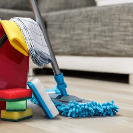 Pro Home Cleaning Business LLC
 Contact us: (904) 437-8011- NOCATEE -FL