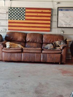 The dogs relaxing at the training facility.