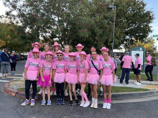 making strides to end breast cancer by a.c.s.