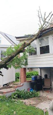 Emergency Tree Removal Services near me