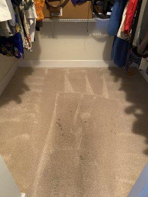 Carpet in closet.